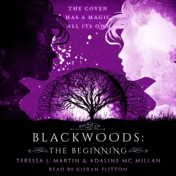 Cover - Teressa J Martin - Blackwoods - The Beginning