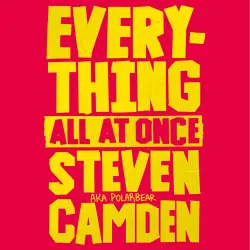 Cover - Steven Camden - Everything All at Once