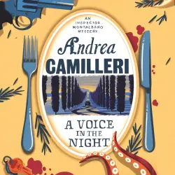 Cover - Andrea Camilleri - Inspector Montalbano mysteries - Book 20 - A Voice in the Night
