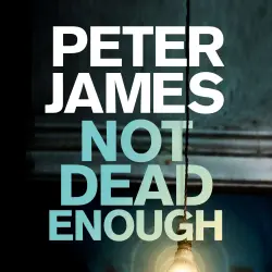 Cover - Peter James - Roy Grace - Book 3 - Not Dead Enough