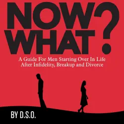 Cover - DSO - NOW WHAT? - A Guide for Men Starting Over in Life After Infidelity, Breakup and Divorce