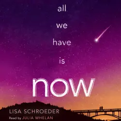 Cover - Lisa Schroeder - All We Have Is Now