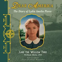 Cover - Lois Lowry - Dear America: Like the Willow Tree