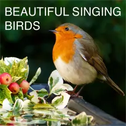 Cover - Pat Barnes - 