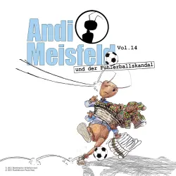Cover - Andi Meisfeld