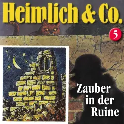 Cover - Heimlich & Co. - Folge 5 - Zauber in der Ruine