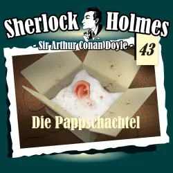 Cover - Sherlock Holmes - Fall 43 - Die Pappschachtel
