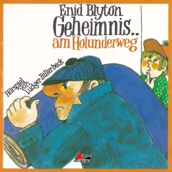 Cover - Enid Blyton - Enid Blyton - Geheimnis am Holunderweg