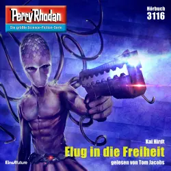 Cover - Kai Hirdt - Perry Rhodan - Erstauflage 3116 - Flug in die Freiheit