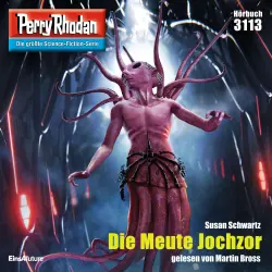 Cover - Susan Schwartz - Perry Rhodan - Erstauflage 3113 - Die Meute Jochzor