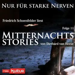 Cover - Nur für starke Nerven
