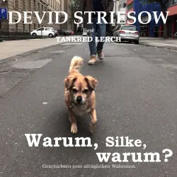 Cover - Tankred Lerch - Warum, Silke, warum? - Geschichten vom alltäglichen Wahnsinn