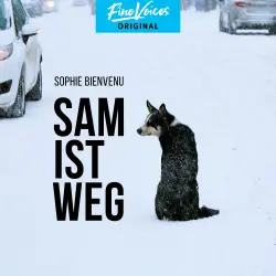 Cover - Sophie Bienvenu - Sam ist weg
