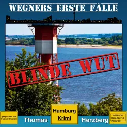 Cover - Thomas Herzberg - Wegners erste Fälle - Hamburg Krimi - Band 3 - Blinde Wut