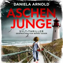 Cover - Daniela Arnold - Aschenjunge