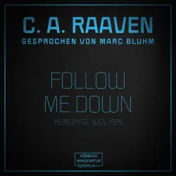 Cover - C. A. Raaven - Follow me down - Hungrige Wolken