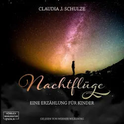Cover - Claudia J. Schulze - Nachtflüge