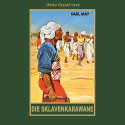 Cover - Karl May - Karl Mays Gesammelte Werke - Band 41 - Die Sklavenkarawane