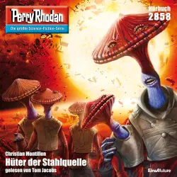 Cover - Christian Montillon - Perry Rhodan - Erstauflage 2858 - Hüter der Stahlquelle