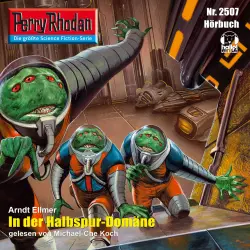 Cover - Arndt Ellmer - Perry Rhodan - Erstauflage 2507 - In der Halbspur-Domäne