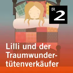 Cover - Manuela Mechtel - Lilli und der Traumwundertütenverkäufer