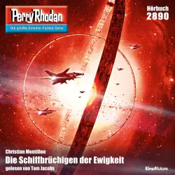 Cover - Christian Montillon - Perry Rhodan - Erstauflage 2890 - Die Schiffbrüchigen der Ewigkeit