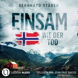 Cover - Bernhard Stäber - Ein Fall für Wolf Larsen - Teil 3 - Einsam wie der Tod