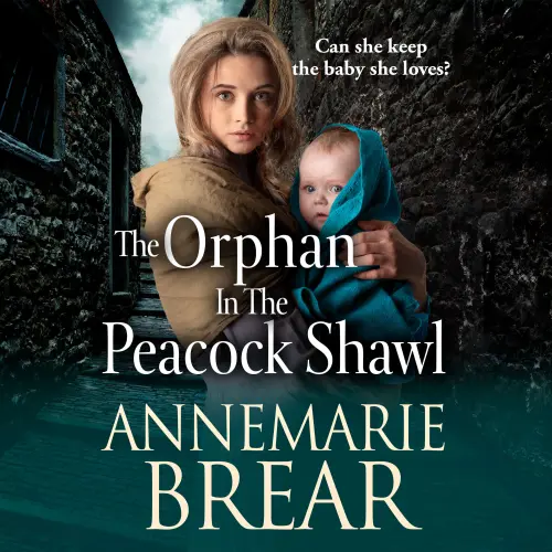 Cover - AnneMarie Brear - The Orphan in the Peacock Shawl