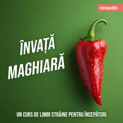 Cover - Cursuri de limbi străine pentru începători - Învață maghiară