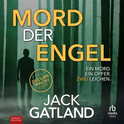 Cover - Jack Gatland - Detective Inspector Declan Walsh - Band 2 - Mord der Engel
