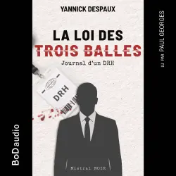 Cover - Yannick Despaux - La Loi des Trois Balles - Journal d'un DRH