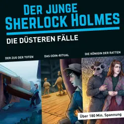 Cover - Der junge Sherlock Holmes - Die düsteren Fälle (Themen-Box), Folgen 2, 5, 14