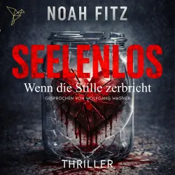 Cover - Noah Fitz - Seelenlos - Wenn die Stille zerbricht