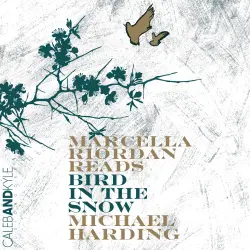 Cover - Michael Harding - Bird in the Snow