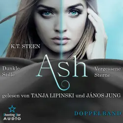 Cover - K. T. Steen - Noir-Saga - Band 3 - Die komplette Dilogie