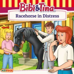 Cover - Bibi and Tina - Racehorse in Distress