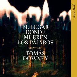 Cover - Tomás Downey - El lugar donde mueren los pájaros