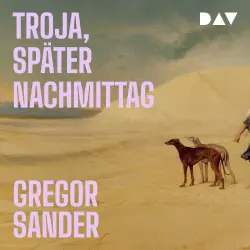 Cover - Gregor Sander - Troja, später Nachmittag