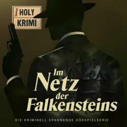 Cover - Holy Krimi - Folge 4 - Im Netz der Falkensteins