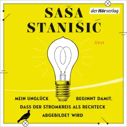 Cover - Saša Stanišić - Mein Unglück beginnt damit, dass der Stromkreis als Rechteck abgebildet wird - Eine Ermutigung