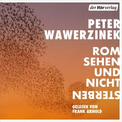 Cover - Peter Wawerzinek - Rom sehen und nicht sterben - Roman. Nominiert für den Deutschen Buchpreis 2025