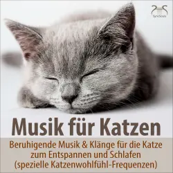 Cover - Torsten Abrolat - Musik für Katzen - Beruhigende Musik & Klänge für die Katze zum Entspannen und Schlafen - spezielle Katzenwohlfühl-Frequenzen