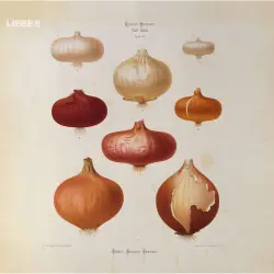 Cover - Hagen Rether - Hagen Rether - Liebe 6