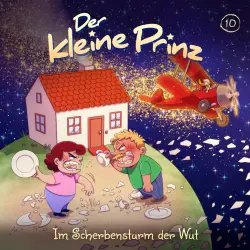 Cover - Der kleine Prinz - Folge 10 - Im Scherbensturm der Wut