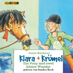 Cover - Anne Bachner - Klara + Krümel 6 - Ein Pony und zwei kleine Wunder
