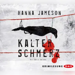 Cover - Hanna Jameson - Kalter Schmerz