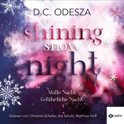 Cover - D.C. Odesza - Shining Snow Night