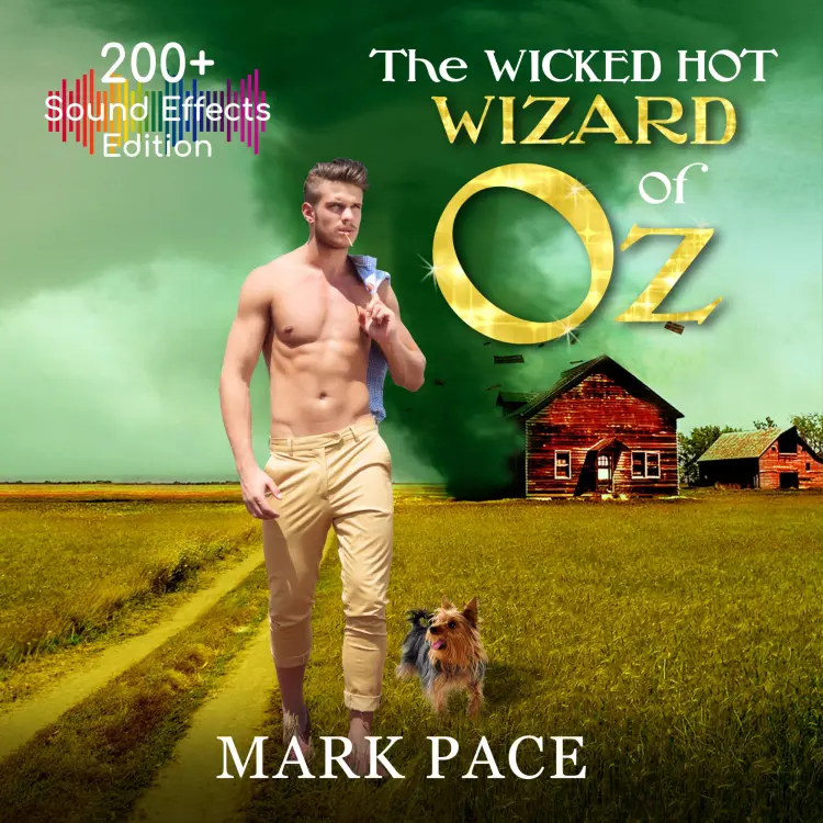 Cover von Mark Pace - The Wicked Hot Wizard of Oz - Sound Effects Special Edition