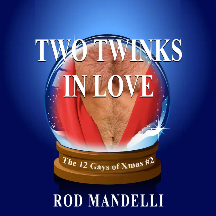 Cover von Rod Mandelli - 12 Gays of Xmas - book 2 - Two Twinks In Love