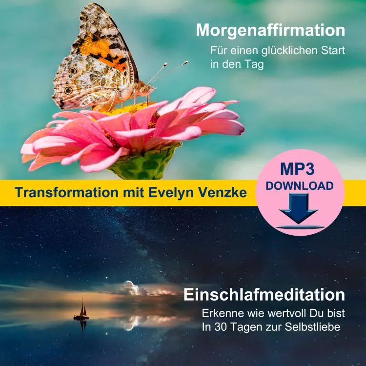 Cover von Evelyn Venzke - Transformation mit Evelyn Venzke